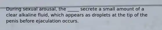 During sexual arousal, the _____ secrete a small amount of a clear alkaline fluid, which appears as droplets at the tip of the penis before ejaculation occurs.