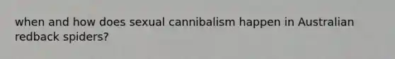 when and how does sexual cannibalism happen in Australian redback spiders?