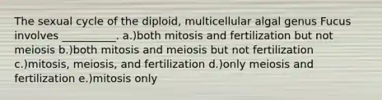 The sexual cycle of the diploid, multicellular algal genus Fucus involves __________. a.)both mitosis and fertilization but not meiosis b.)both mitosis and meiosis but not fertilization c.)mitosis, meiosis, and fertilization d.)only meiosis and fertilization e.)mitosis only