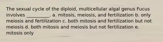 The sexual cycle of the diploid, multicellular algal genus Fucus involves __________. a. mitosis, meiosis, and fertilization b. only meiosis and fertilization c. both mitosis and fertilization but not meiosis d. both mitosis and meiosis but not fertilization e. mitosis only