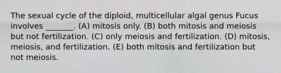 The sexual cycle of the diploid, multicellular algal genus Fucus involves _______. (A) mitosis only. (B) both mitosis and meiosis but not fertilization. (C) only meiosis and fertilization. (D) mitosis, meiosis, and fertilization. (E) both mitosis and fertilization but not meiosis.