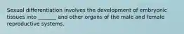 Sexual differentiation involves the development of embryonic tissues into _______ and other organs of the male and female reproductive systems.