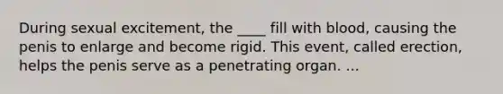 During sexual excitement, the ____ fill with blood, causing the penis to enlarge and become rigid. This event, called erection, helps the penis serve as a penetrating organ. ...