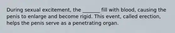 During sexual excitement, the _______ fill with blood, causing the penis to enlarge and become rigid. This event, called erection, helps the penis serve as a penetrating organ.