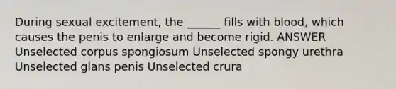 During sexual excitement, the ______ fills with blood, which causes the penis to enlarge and become rigid. ANSWER Unselected corpus spongiosum Unselected spongy urethra Unselected glans penis Unselected crura