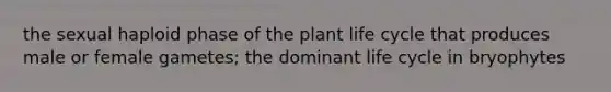 the sexual haploid phase of the plant life cycle that produces male or female gametes; the dominant life cycle in bryophytes