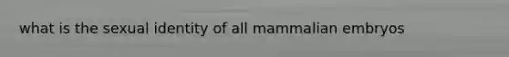 what is the sexual identity of all mammalian embryos