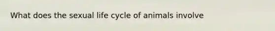 What does the sexual life cycle of animals involve