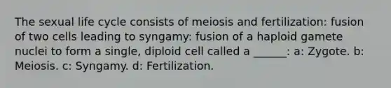 The sexual life cycle consists of meiosis and fertilization: fusion of two cells leading to syngamy: fusion of a haploid gamete nuclei to form a single, diploid cell called a ______: a: Zygote. b: Meiosis. c: Syngamy. d: Fertilization.