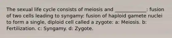 The sexual life cycle consists of meiosis and _____________: fusion of two cells leading to syngamy: fusion of haploid gamete nuclei to form a single, diploid cell called a zygote: a: Meiosis. b: Fertilization. c: Syngamy. d: Zygote.