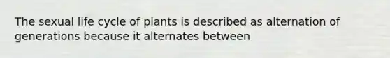 The sexual life cycle of plants is described as alternation of generations because it alternates between