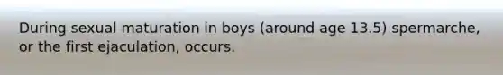 During sexual maturation in boys (around age 13.5) spermarche, or the first ejaculation, occurs.