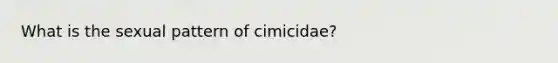 What is the sexual pattern of cimicidae?