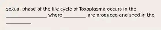 sexual phase of the life cycle of Toxoplasma occurs in the __________________ where __________ are produced and shed in the ___________