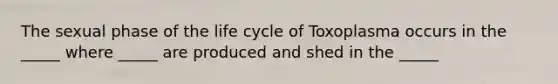 The sexual phase of the life cycle of Toxoplasma occurs in the _____ where _____ are produced and shed in the _____