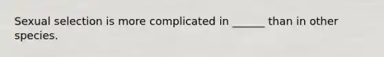 Sexual selection is more complicated in ______ than in other species.