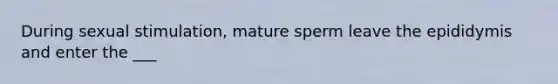 During sexual stimulation, mature sperm leave the epididymis and enter the ___