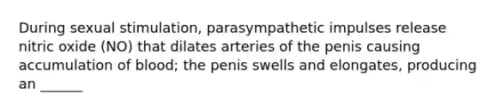 During sexual stimulation, parasympathetic impulses release nitric oxide (NO) that dilates arteries of the penis causing accumulation of blood; the penis swells and elongates, producing an ______