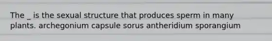 The _ is the sexual structure that produces sperm in many plants. archegonium capsule sorus antheridium sporangium
