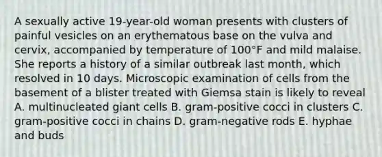 A sexually active 19-year-old woman presents with clusters of painful vesicles on an erythematous base on the vulva and cervix, accompanied by temperature of 100°F and mild malaise. She reports a history of a similar outbreak last month, which resolved in 10 days. Microscopic examination of cells from the basement of a blister treated with Giemsa stain is likely to reveal A. multinucleated giant cells B. gram-positive cocci in clusters C. gram-positive cocci in chains D. gram-negative rods E. hyphae and buds