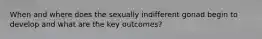 When and where does the sexually indifferent gonad begin to develop and what are the key outcomes?