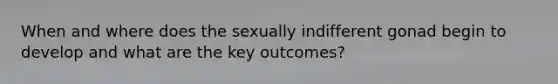 When and where does the sexually indifferent gonad begin to develop and what are the key outcomes?