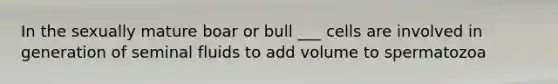 In the sexually mature boar or bull ___ cells are involved in generation of seminal fluids to add volume to spermatozoa