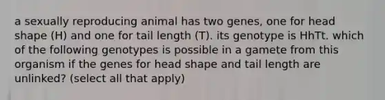 a sexually reproducing animal has two genes, one for head shape (H) and one for tail length (T). its genotype is HhTt. which of the following genotypes is possible in a gamete from this organism if the genes for head shape and tail length are unlinked? (select all that apply)