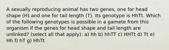 A sexually reproducing animal has two genes, one for head shape (H) and one for tail length (T). Its genotype is HhTt. Which of the following genotypes is possible in a gamete from this organism if the genes for head shape and tail length are unlinked? (select all that apply): a) hh b) hhTT c) HHTt d) Tt e) Hh f) hT g) HhTt