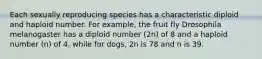 Each sexually reproducing species has a characteristic diploid and haploid number. For example, the fruit fly Drosophila melanogaster has a diploid number (2n) of 8 and a haploid number (n) of 4, while for dogs, 2n is 78 and n is 39.