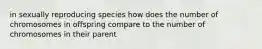 in sexually reproducing species how does the number of chromosomes in offspring compare to the number of chromosomes in their parent