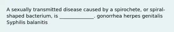 A sexually transmitted disease caused by a spirochete, or spiral-shaped bacterium, is ______________. gonorrhea herpes genitalis Syphilis balanitis