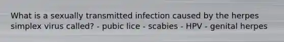 What is a sexually transmitted infection caused by the herpes simplex virus called? - pubic lice - scabies - HPV - genital herpes