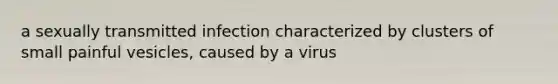 a sexually transmitted infection characterized by clusters of small painful vesicles, caused by a virus