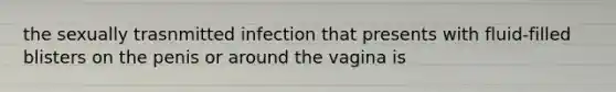 the sexually trasnmitted infection that presents with fluid-filled blisters on the penis or around the vagina is