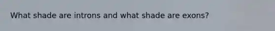 What shade are introns and what shade are exons?