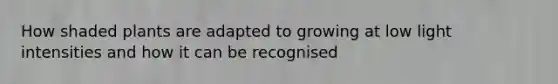 How shaded plants are adapted to growing at low light intensities and how it can be recognised