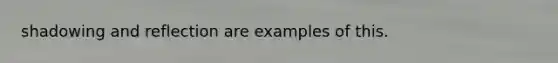 shadowing and reflection are examples of this.
