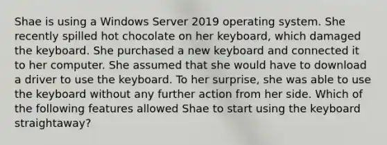 Shae is using a Windows Server 2019 operating system. She recently spilled hot chocolate on her keyboard, which damaged the keyboard. She purchased a new keyboard and connected it to her computer. She assumed that she would have to download a driver to use the keyboard. To her surprise, she was able to use the keyboard without any further action from her side. Which of the following features allowed Shae to start using the keyboard straightaway?