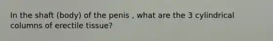 In the shaft (body) of the penis , what are the 3 cylindrical columns of erectile tissue?