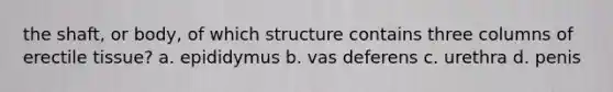 the shaft, or body, of which structure contains three columns of erectile tissue? a. epididymus b. vas deferens c. urethra d. penis