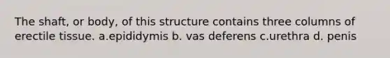 The shaft, or body, of this structure contains three columns of erectile tissue. a.epididymis b. vas deferens c.urethra d. penis