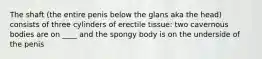 The shaft (the entire penis below the glans aka the head) consists of three cylinders of erectile tissue: two cavernous bodies are on ____ and the spongy body is on the underside of the penis