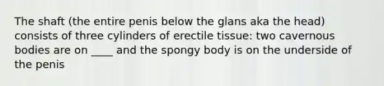 The shaft (the entire penis below the glans aka the head) consists of three cylinders of erectile tissue: two cavernous bodies are on ____ and the spongy body is on the underside of the penis