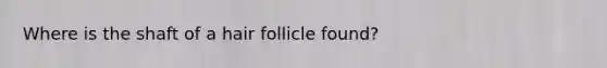 Where is the shaft of a hair follicle found?
