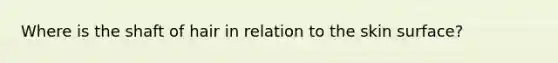 Where is the shaft of hair in relation to the skin surface?