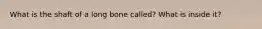 What is the shaft of a long bone called? What is inside it?