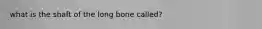 what is the shaft of the long bone called?