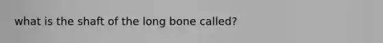 what is the shaft of the long bone called?