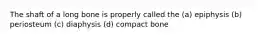 The shaft of a long bone is properly called the (a) epiphysis (b) periosteum (c) diaphysis (d) compact bone